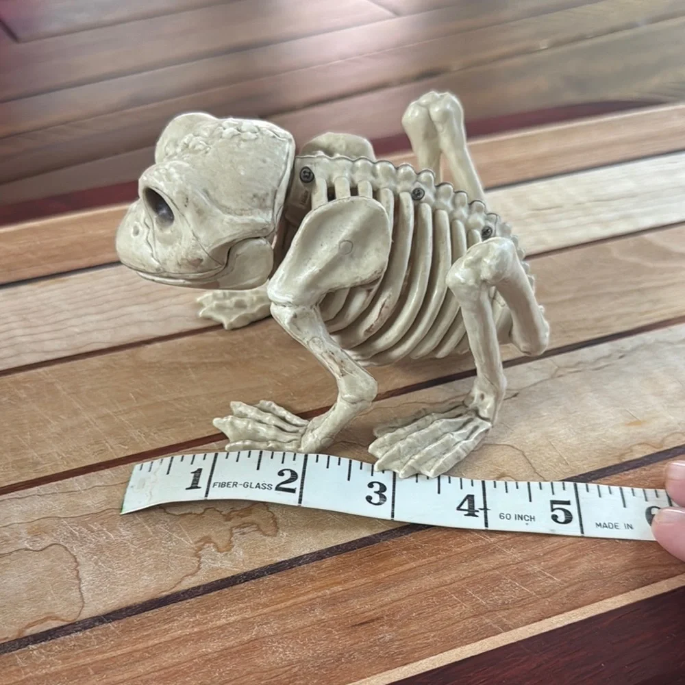 Halloween Reptile Skeleton Reptile - Cream